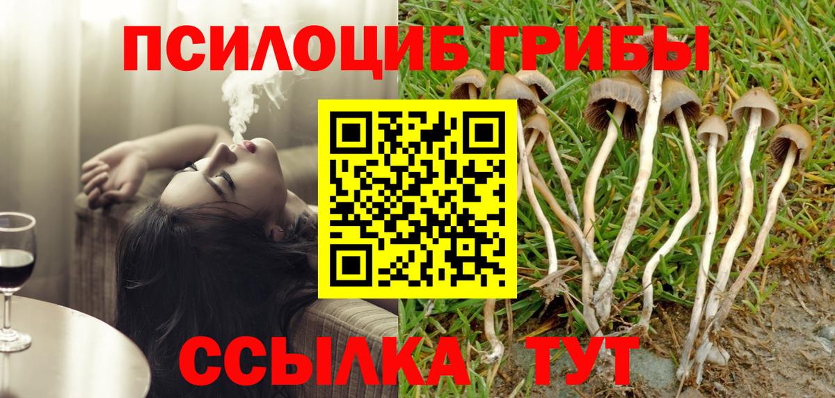 Псилоцибиновые грибы Cubensis Октябрьский