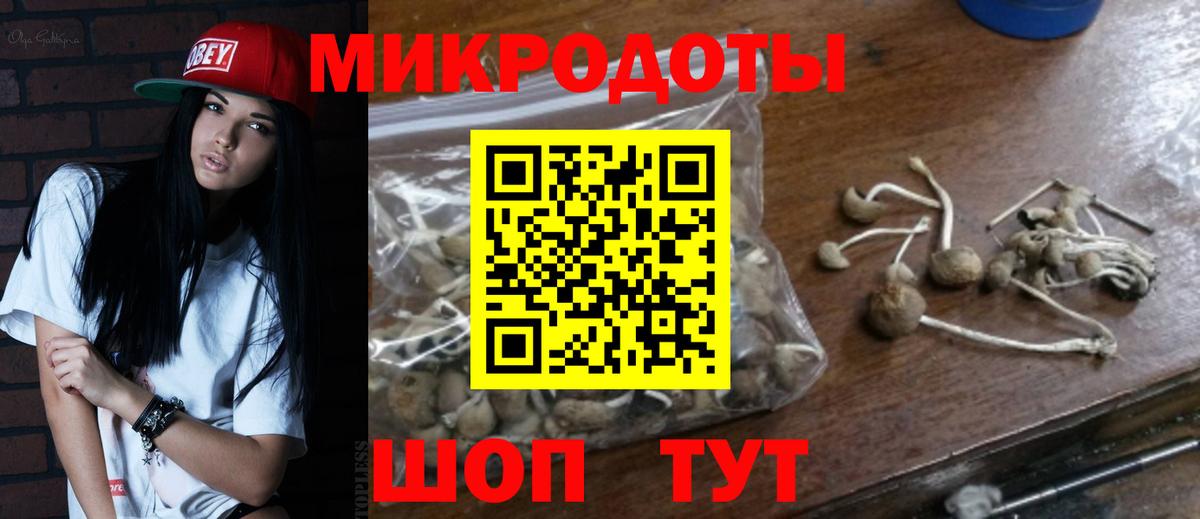 Галлюциногенные грибы GOLDEN TEACHER  дарнет шоп  Октябрьский  Вход с VPN 
